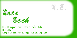 mate bech business card